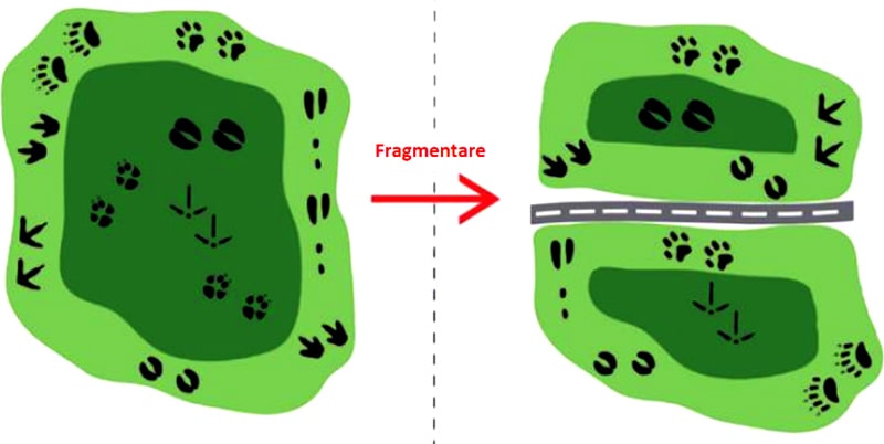 fragmentare-geostud-min